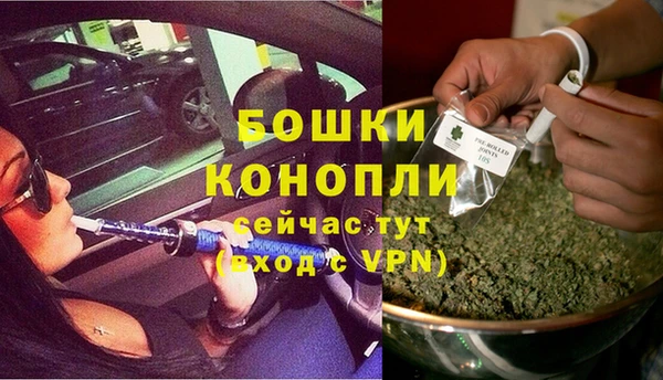 PSILOCYBIN Арсеньев